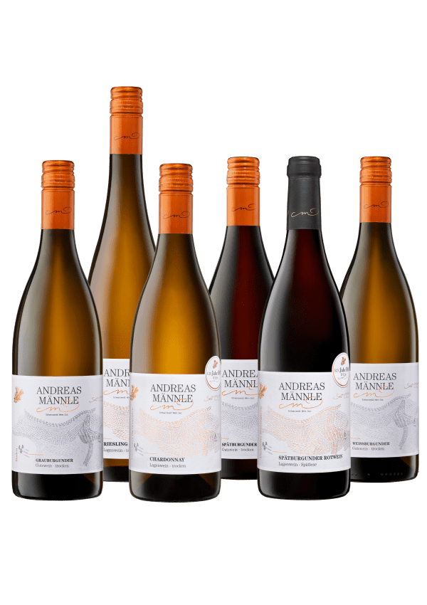 HERBSTKLASSIKER – 6er Weinpaket