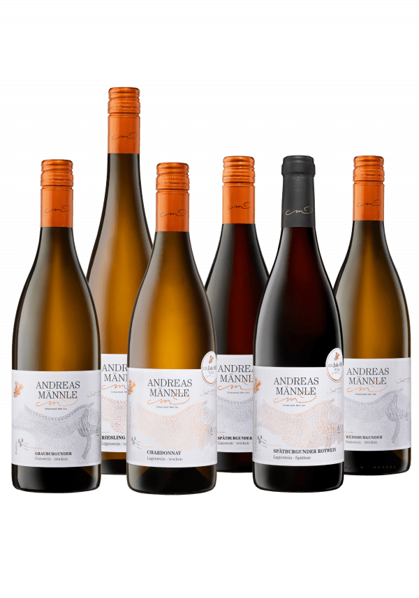 HERBSTKLASSIKER – 6er Weinpaket