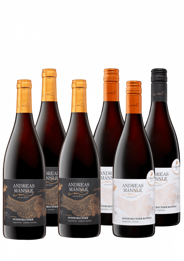 Premium Selektion Rot – 6er Weinpaket