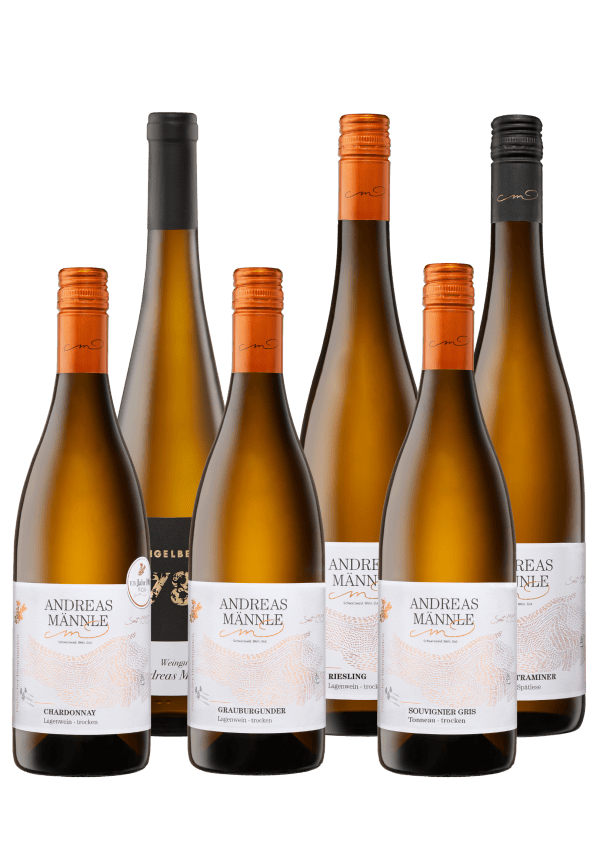 Premium Selektion Weiß – 6er Weinpaket