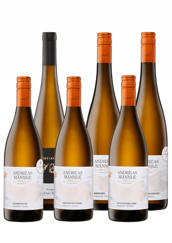 Premium Selektion Weiß – 6er Weinpaket